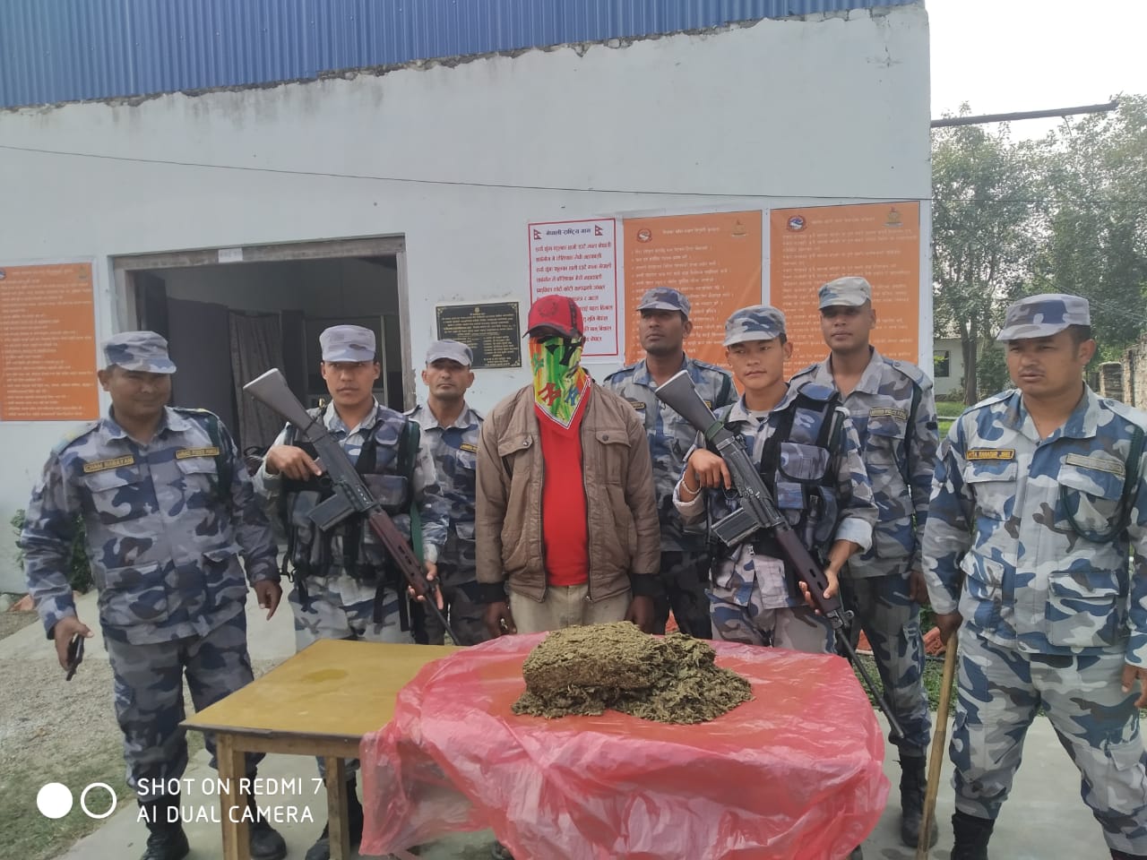 गाँजा सहित मुखिया सशस्त्र प्रहरीको नियन्त्रणमा