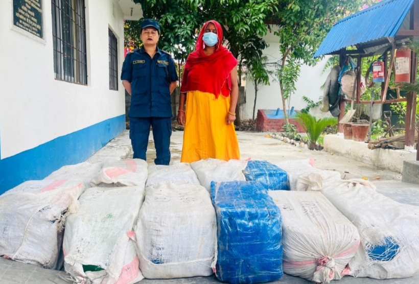 सप्तरीमा ठूलो परिमाणमा गाँजा बरामद, एक महिला पक्राउ