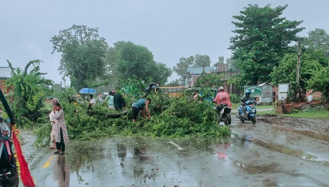 भोक्राहा मोडेल चोकमा रुख ढल्दा मोटरसाइकल दुर्घटनामा