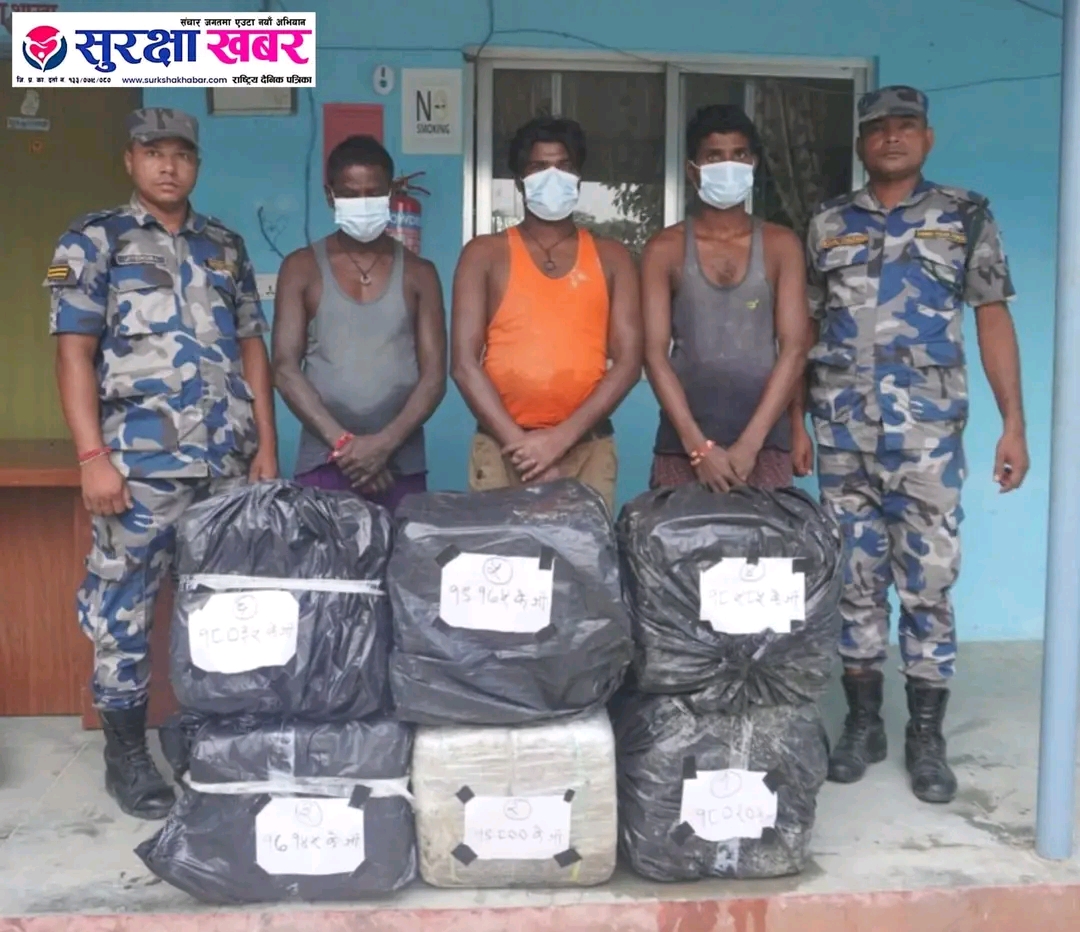 औरहीमा ११० किलो ७६० ग्राम गाँजासहित तीन जना पक्राउ