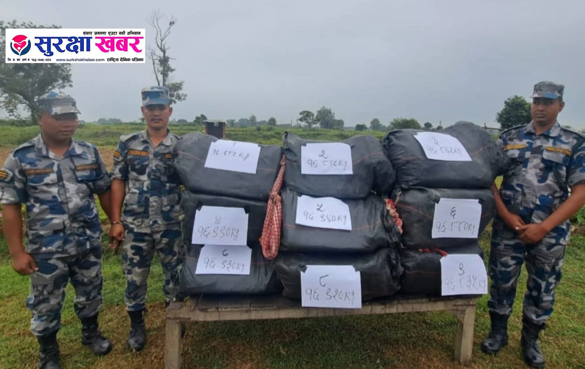 सिरहामा १५२ किलोभन्दा बढी गाँजा बरामद
